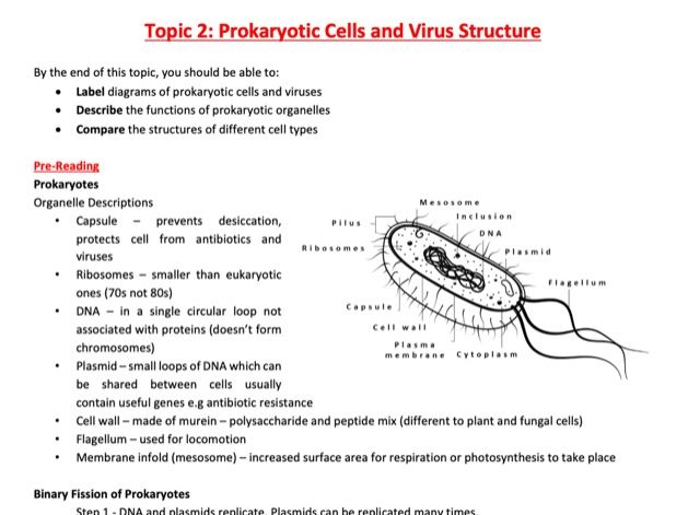 Cell Structure Independent Study Booklet