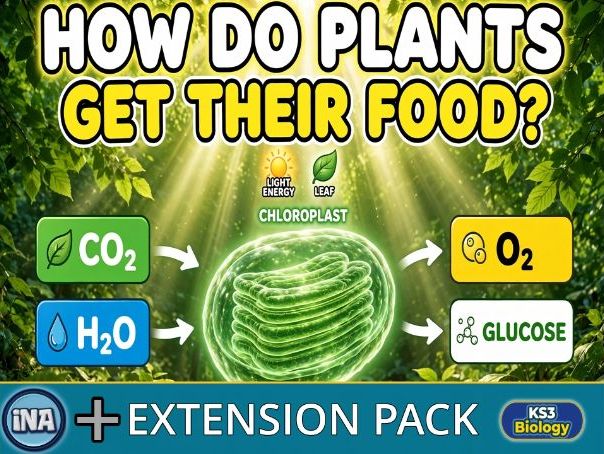 Plant Nutrition - KS3 Biology Extension Pack