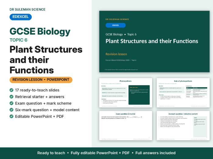 Edexcel GCSE Biology Topic 6 Plant Structures & Functions Revision Lesson
