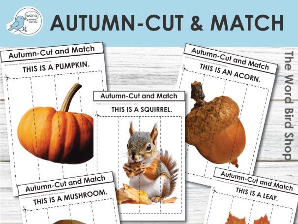 Autumn Cut and Match – Speech Therapy, ESL, Early Learning, Logic Skills Printable