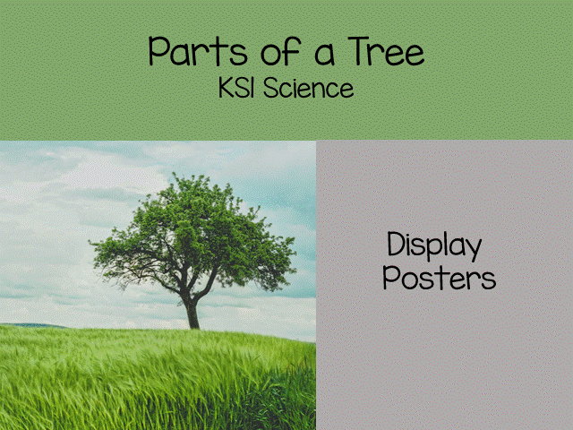 Parts of a Tree Vocabulary & Display Pack , Trees and Plants,  KS1 Science