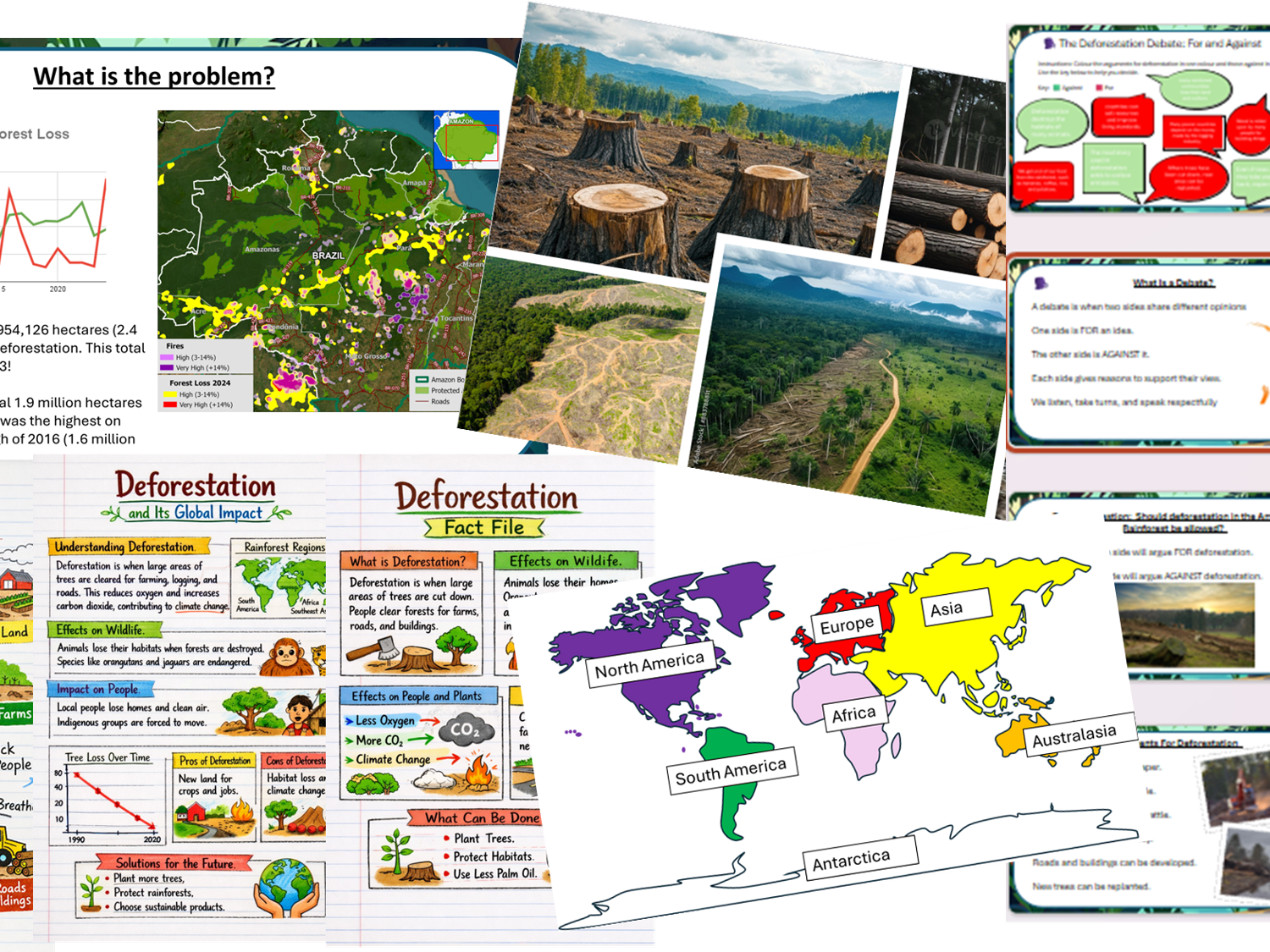 Y4 Geography - Amazon Rainforest