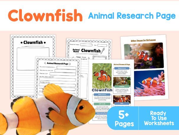 Clownfish Worksheets | Sea Anemone Symbiosis and Adaptations