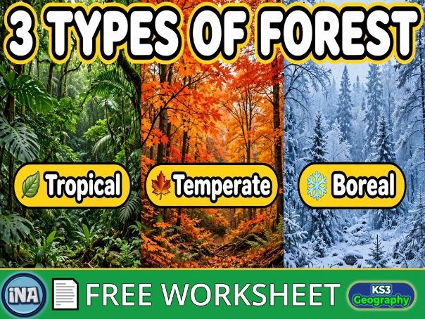 The Forests of the World - FREE KS3 Geography Worksheet