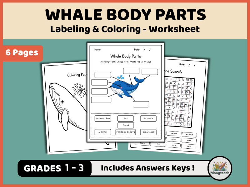 Whale Body Parts | Marine Biology | Mammals | Labeling & Coloring | Science Worksheet | KS1 | KS2