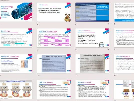 AQA A level Psychology Biopsychology Full Course Power Points and tests for new 2027 specification!