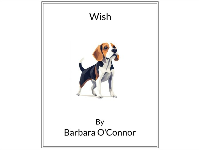 Wish by Barbara O'Connor * (Lesson Plan)