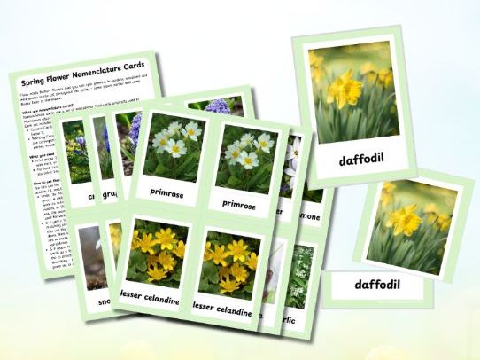 Spring Flowers Three Part Nomenclature Cards
