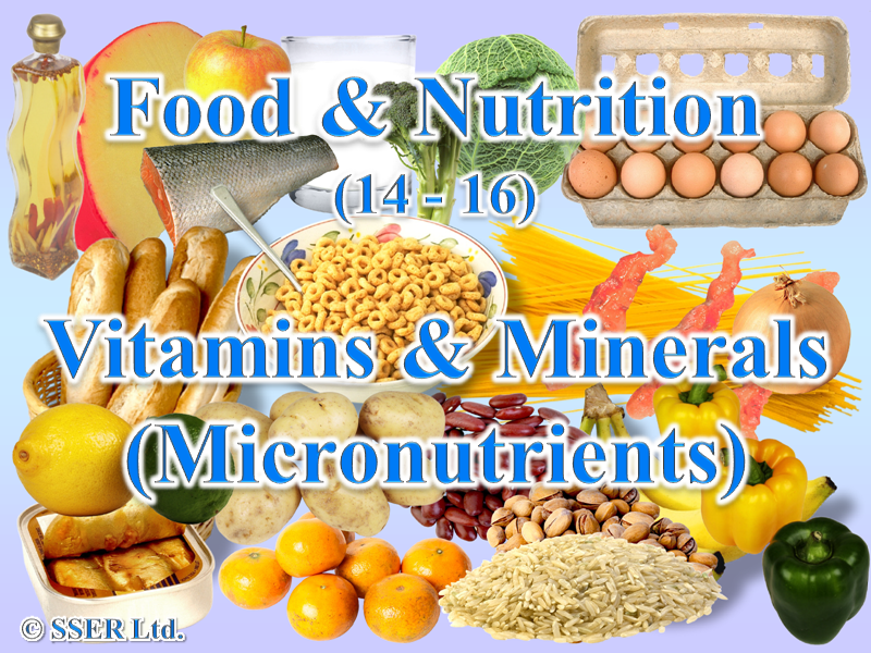 1.2 Vitamins & Minerals Teaching Resources