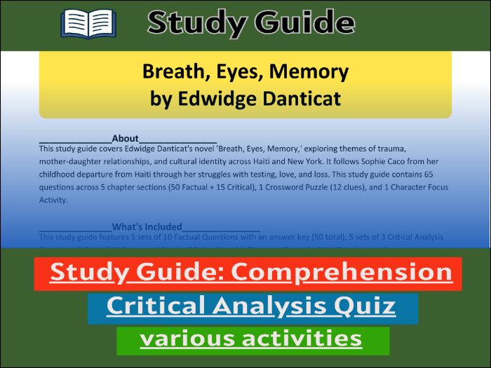 Breath, Eyes, Memory - Comprehension 91����t & Activities