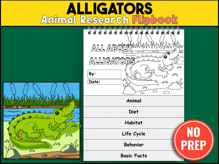 Alligator Research Flipbook | Zoo Animals, Science Activity Worksheets, Wetlands