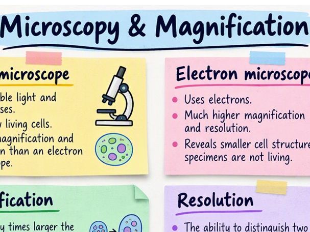 Microscopy & Magnification Revision Sticky Notes | GCSE Biology | Printable PDF