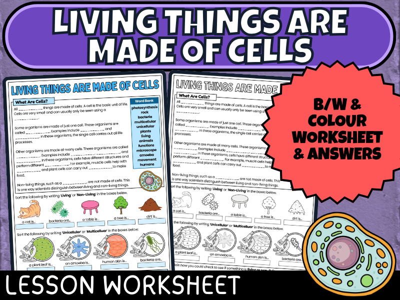 Living Things Are Made of Cells Worksheet - Biology Science