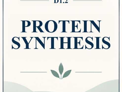 IB Biology HL D1.2 Protein Synthesis MCQ Practice