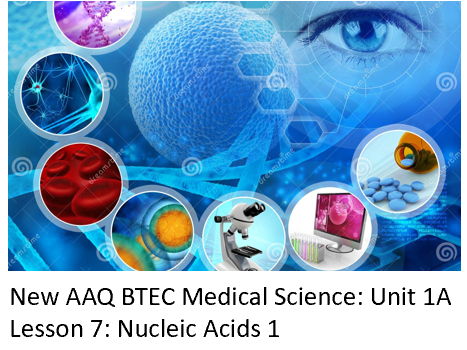 NEW: AAQ BTEC Medical Science Unit 1A - Lesson 7 Nucleic Acids I