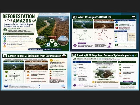 OCR A Level Geography Earths Life support systems: Deforestation of the Amazon