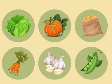 Outdoor Learning - Vegetable Garden