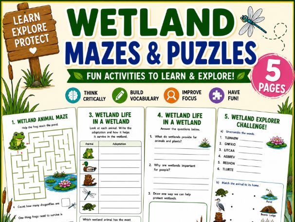 Wetland Mazes & Activities | Wetland Worksheets | Observation, Logic| Grades 2-5