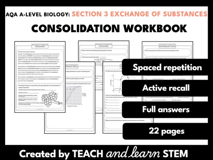 Exchange of Substances Section 3 | AQA A-level Biology | Consolidation Active Recall Workbook