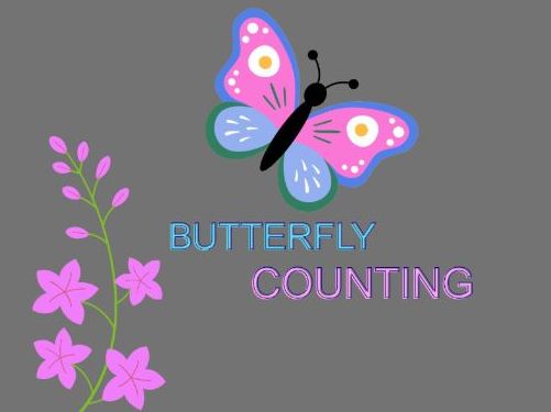 Count the Butterfly-EYFS Worksheet