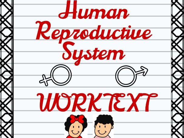 Human Reproductive System Worktext Activity Sheets