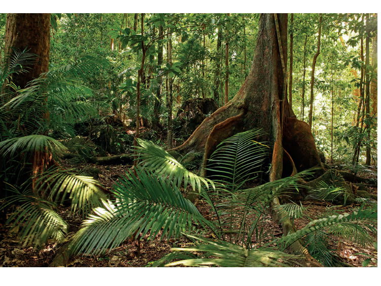 Retrieval Sheet (revision) Year 10/11 Living world & Cold Environments AQA Geography