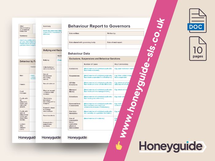 Behaviour Report to Governors