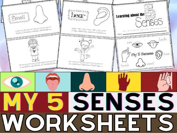 5 Senses Worksheets and activity | Science Unit | My Five Senses | PreK, K & 1st