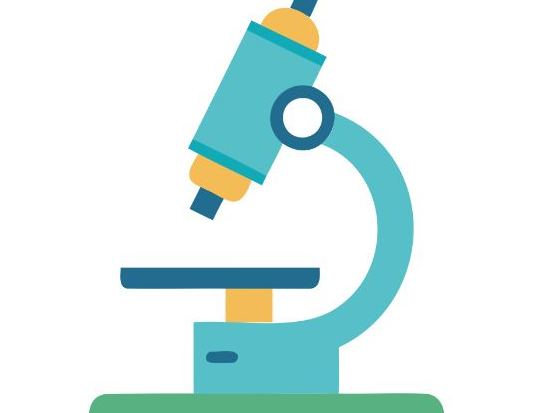 Microscopes in Cell Studies