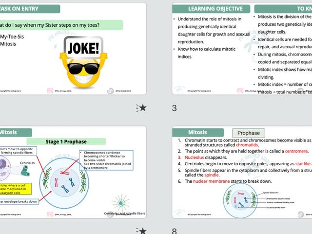 3B.2 Mitosis Pearson Edexcel International A-level biology