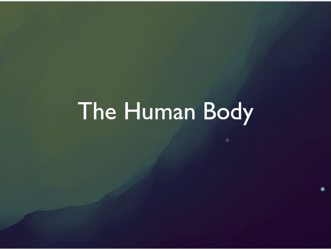 The Human Body Teaching Resources