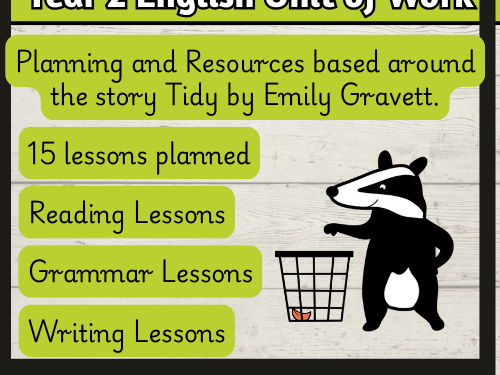 'Tidy' by Emily Gravett Year 2 English Planning and Resources
