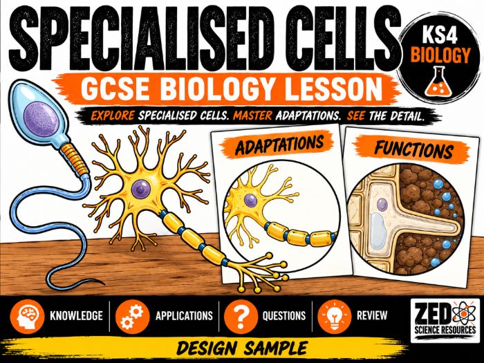 GCSE Biology: Specialised Cells – Adaptations and Functions | KS4