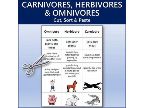 Carnivores, Herbivores and Omnivores Cut, Sort & Paste | Worksheet Activity
