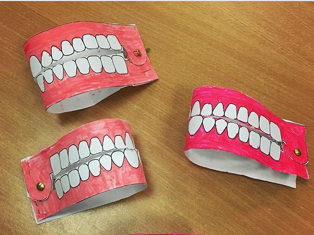 Model Teeth Activity