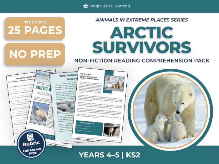Arctic Animals Reading Comprehension | KS2 Years 4 & 5