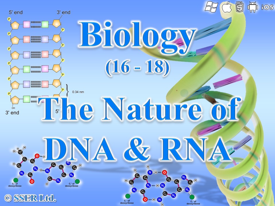 BioA_3.1.5.1 The Nature of DNA and RNA