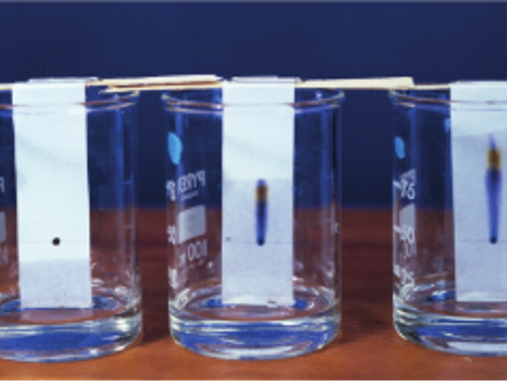 Chromatography