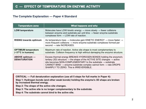 Chapter 5: Enzymes — Exam-focused Complete Revision Guide — Cambridge IGCSE Biology 0610