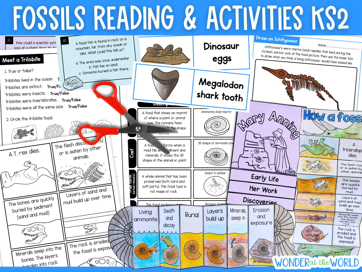 Fossils KS2 science worksheets printable activities PowerPoints reading