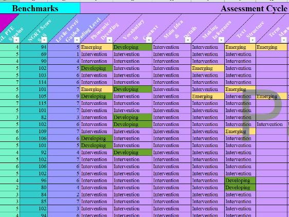 Reading Assessment Data Tracker| Accommodations & Pupil Data Portfolio Dashboard | Analysis & Trends