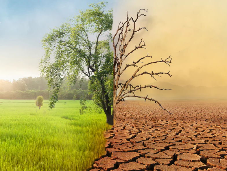 Climate Change Scheme of Work