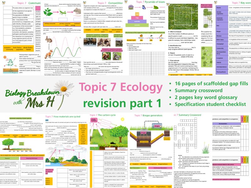 GCSE Ecology revision part 1