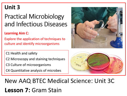 AAQ BTEC Medical Science Unit 3C Practical Microbiology - Lesson 7: Gram Stain