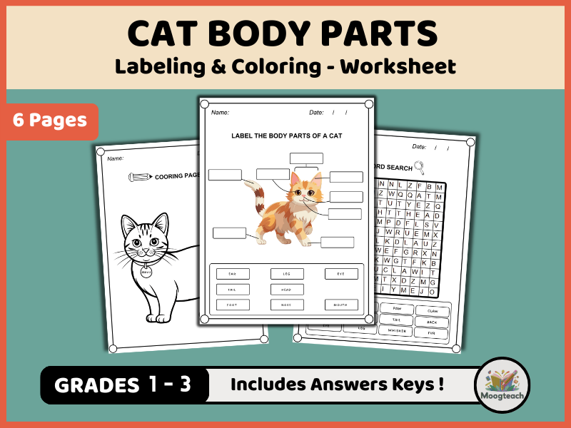 Cat Body Parts Worksheet Pack | Labeling, Coloring & Word Search (K-2 Pet Vocabulary PDF)