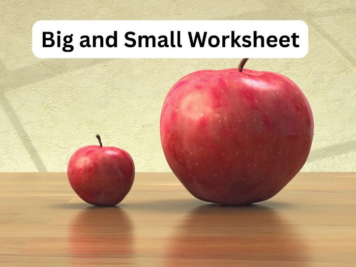 Big and Small Worksheet