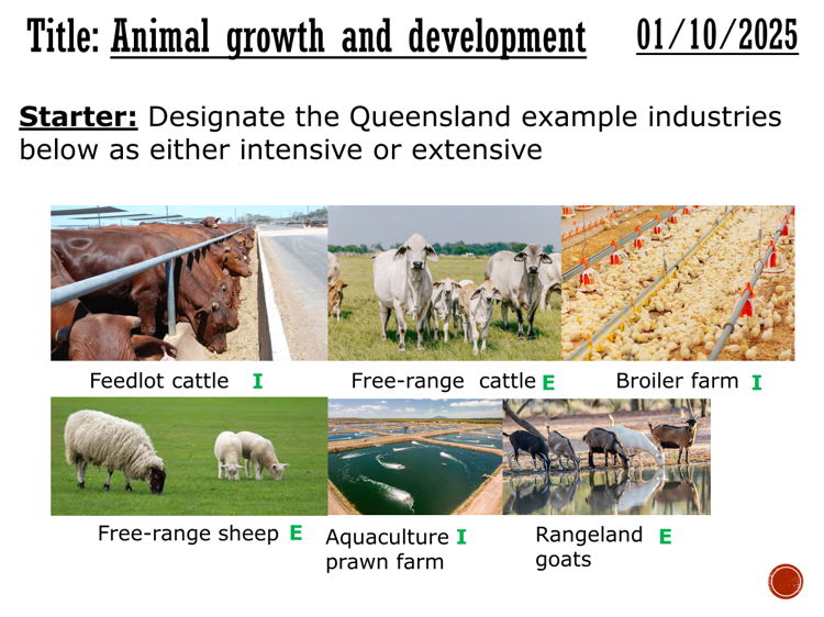 Animal Growth and Development