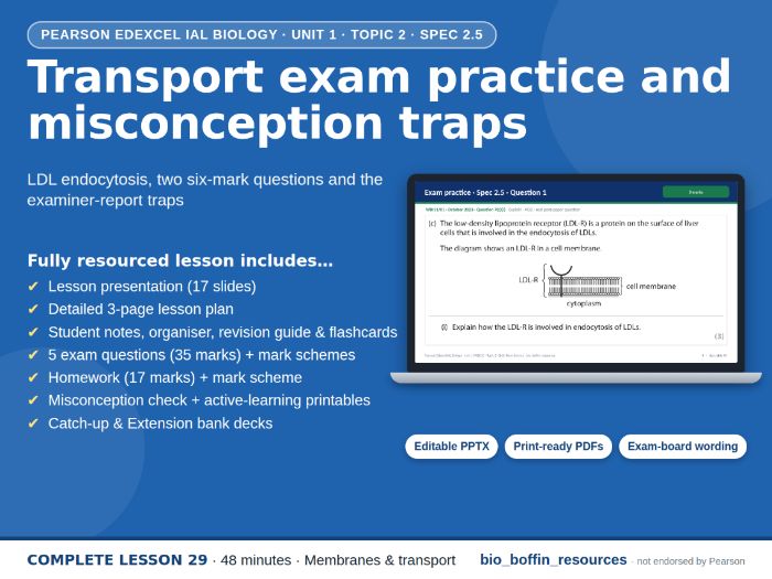 IAL Biology Edexcel – Transport Exam Practice