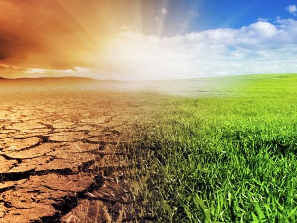 Cambridge AS Level Geography  - 2.3 Global warming and climate change