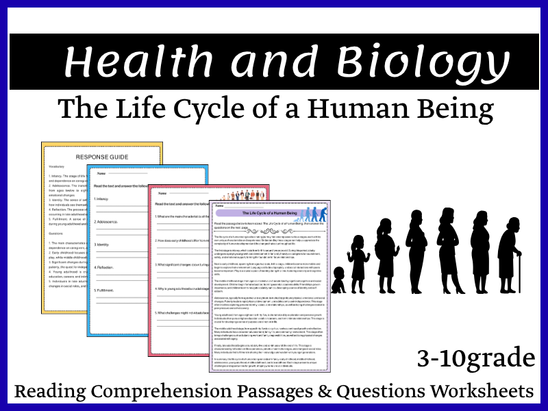 The Life Cycle of a Human Being Reading Comprehension Passages & Questions Worksheets
